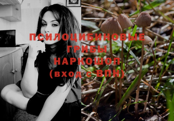MDMA Михайловка