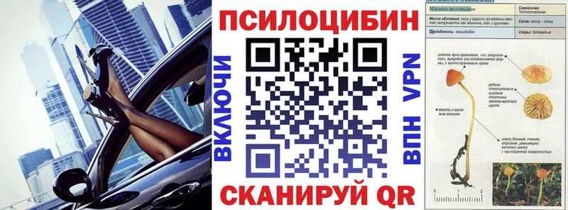 Псилоцибиновые грибы прущие грибы  ОМГ ОМГ ТОР  Чебаркуль 